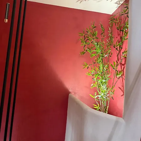 Terziu Duplex Living Durrës
